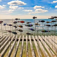 Рыбки :: Dmitry i Mary S