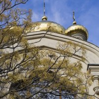 *** :: Елена Агеева