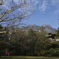 Воронцовский парк :: Елена Агеева