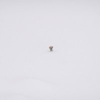 По самую макушку снегом занесло :: Валерий Иванович По самую макушку снегом занесло :: Валерий Иванович