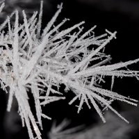 Иней :: Валерий Ткаченко