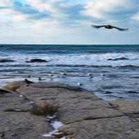 Море :: Анатолий Чикчирный