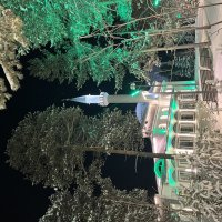 Мечеть :: Эльвира Белянская