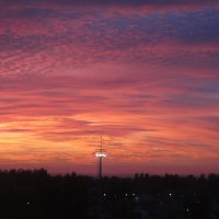 закат :: Елена Шаламова