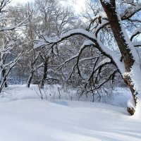 Зима в январе. :: Милешкин Владимир Алексеевич Зима в январе. :: Милешкин Владимир Алексеевич