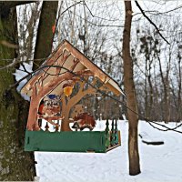 Симпатичная кормушка. :: Валерия Комова