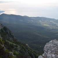 Природа Крыма :: Amazing Cosmea