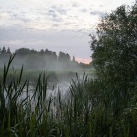 Утро. :: Александр. AVG100 ---