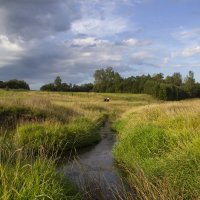 *** :: Александр. AVG100 ---