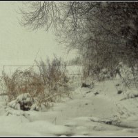 *** :: Aleksandr Gal *** :: Aleksandr Gal