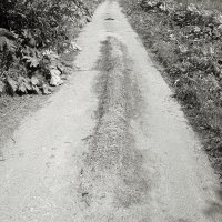 Фотография :: Денис Безногов