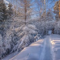 Тропинка :: Vladimbormotov Тропинка :: Vladimbormotov