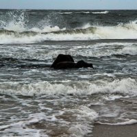 Балтика штормит :: В.И 