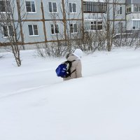 снег и ветер :: Владимир 