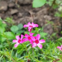 ,,, :: Сергей Тимоновский