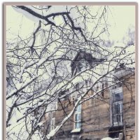 много снега в январе.... :: Любовь много снега в январе.... :: Любовь