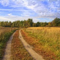 ... :: Вячеслав Минаев