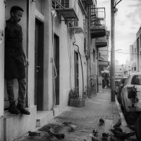 *** :: alex chernin *** :: alex chernin