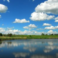 Лето. :: Владимир Лето. :: Владимир