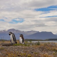 На дальних берегах... :: Владимир Жданов