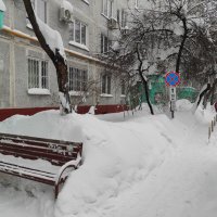 Низзя :: Игорь Ч.