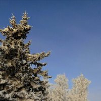 Зимний город :: Игорь Сычёв