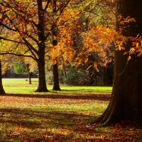 Осенний день :: Юрий. Шмаков