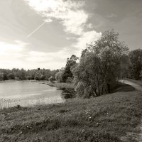 Пруды Гатчины :: Наталья 