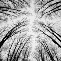 *** :: Евгений П.