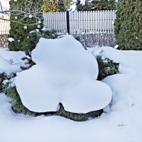 Кустики под снежным покрывалом :: Veera V