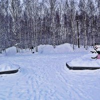 Зима в сквере Победы! :: Владимир 