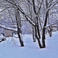 Январь...Зимний этюд! :: Владимир Январь...Зимний этюд! :: Владимир