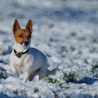 Вижу цель... :: Николай Саржанов