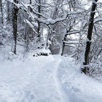 Тропа рыбаков. :: Милешкин Владимир Алексеевич 