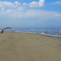 Случайные встречи :: ИРЭН@ . Случайные встречи :: ИРЭН@ .