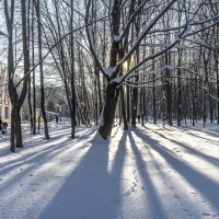 В Воронцовском парке :: Владимир Езеров В Воронцовском парке :: Владимир Езеров