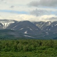 ЗАПАДНЫЙ УРАЛ :: Tata Wolf