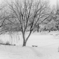 Зимние зарисовки ... :: Ravile 