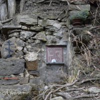 Природа Крыма :: Amazing Cosmea