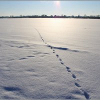 А на том берегу.. :: Aleksandr Gal