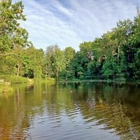 Лесное озеро :: Лия ☼