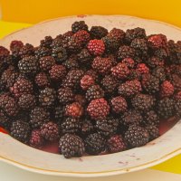 Ежевика. :: Петр Беляков Ежевика. :: Петр Беляков