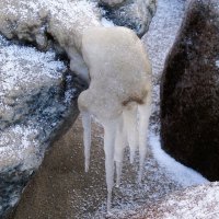 Ледяная кисть "руки" :: Рита Симонова