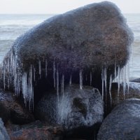 Пасть "кашалота" :: Рита Симонова