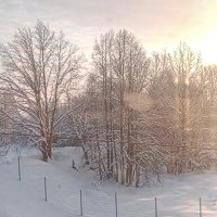 Морозный денек :: Юлия Денискина