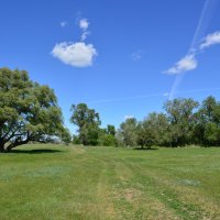 Весна! :: Виктор 