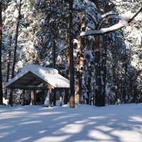 В парке :: Андрей Зайцев