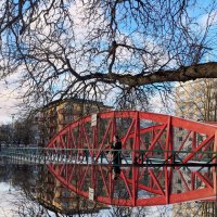 Мимо не пройти :: liudmila drake Мимо не пройти :: liudmila drake