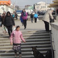 Подайте на пропитание :: анатолий 