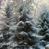 В зимнем парке 2... :: Sergey Gordoff